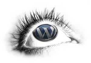 wordpress-theme